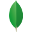 MongoDB